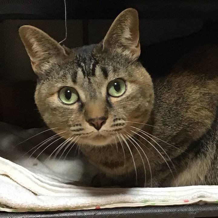 8275e18b 11ae 427c 8584 4b9af08c2cc6 1679746492300