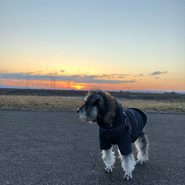 8275fc12 c1a6 446d aded 5efc5ea4b981 1614431776781