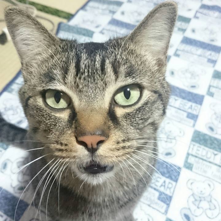 82764dea a533 4889 a146 a319ce2cdc07 1509410044217