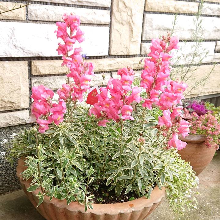 827652d9 13f1 4bfa 8348 26a956f52b57 1578843905881