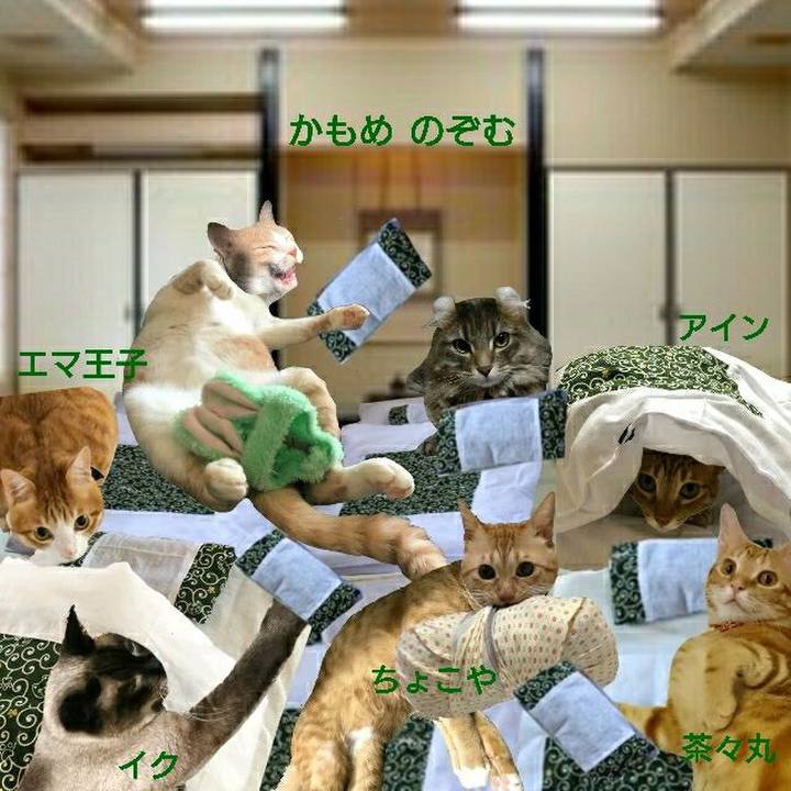 82766f3f 0adf 4660 a69d c3cf09d6b8c8 1544273313545