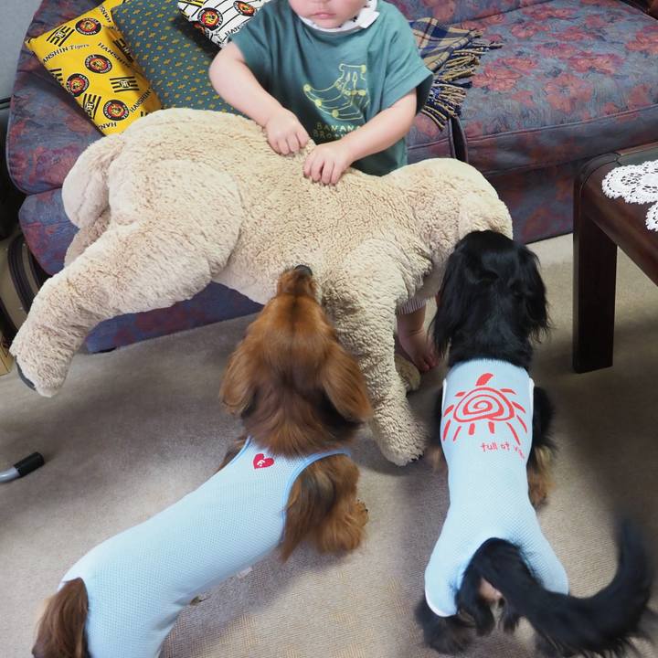 827671c4 d801 406e b3a6 b5485f81bd4b 1723807636787