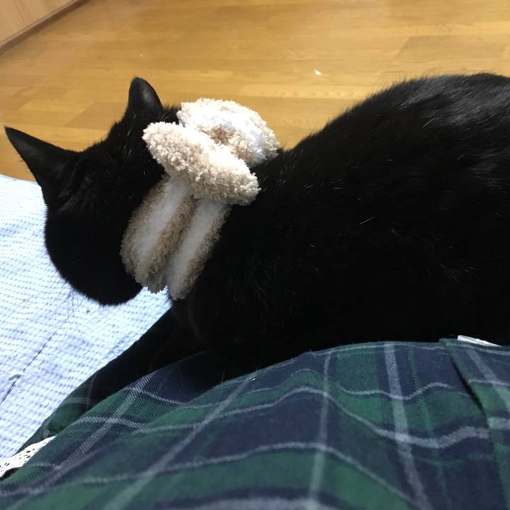 8276800e d6f5 4f6d 83fe 88f534bd54dc 1544884679821