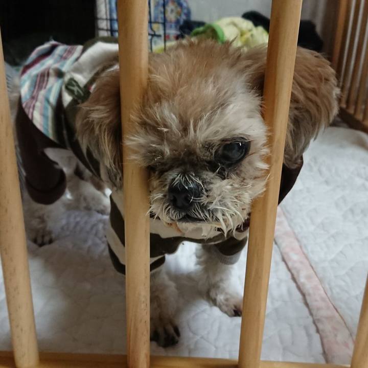 8276fad9 f9ba 4c83 b7af 89b7bc106948 1555589010983