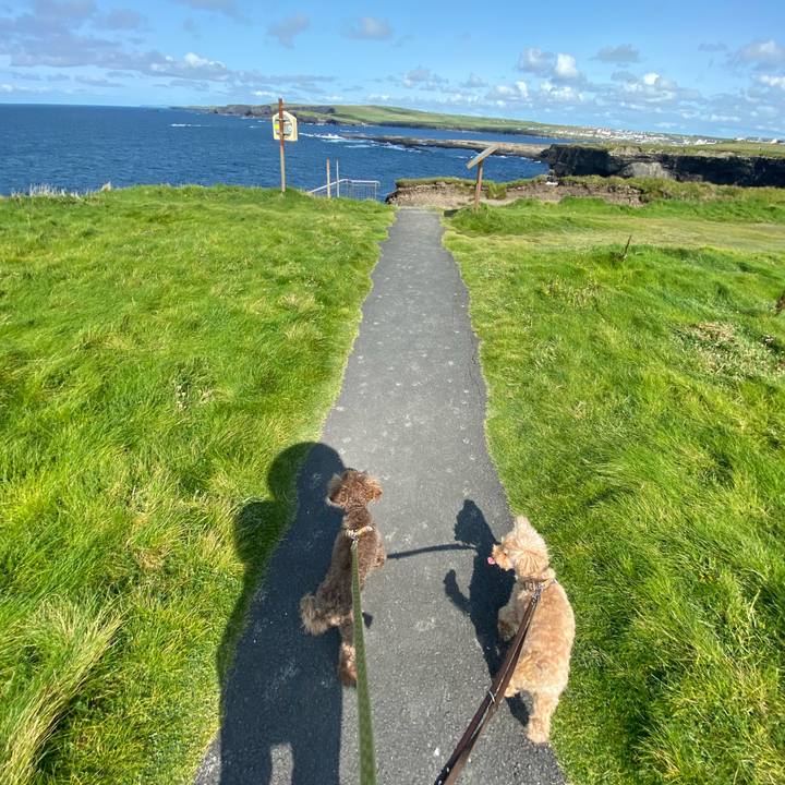 82770df5 ef0f 4eae 9d33 cf5d2fe7aaea 1692820085293