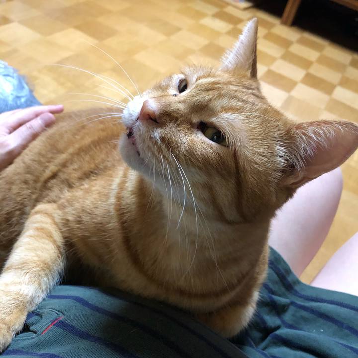 82771b11 380d 42ea bd76 ec4eb198454c 1591101896072