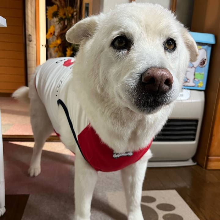 82775cb9 25a5 49d7 89bd b8b0c6bf1db6 1763166068807