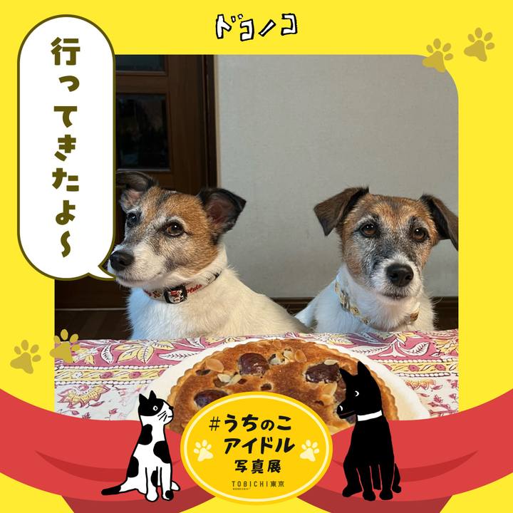 827773d8 8036 4876 8066 183021f8190c 1761114485931