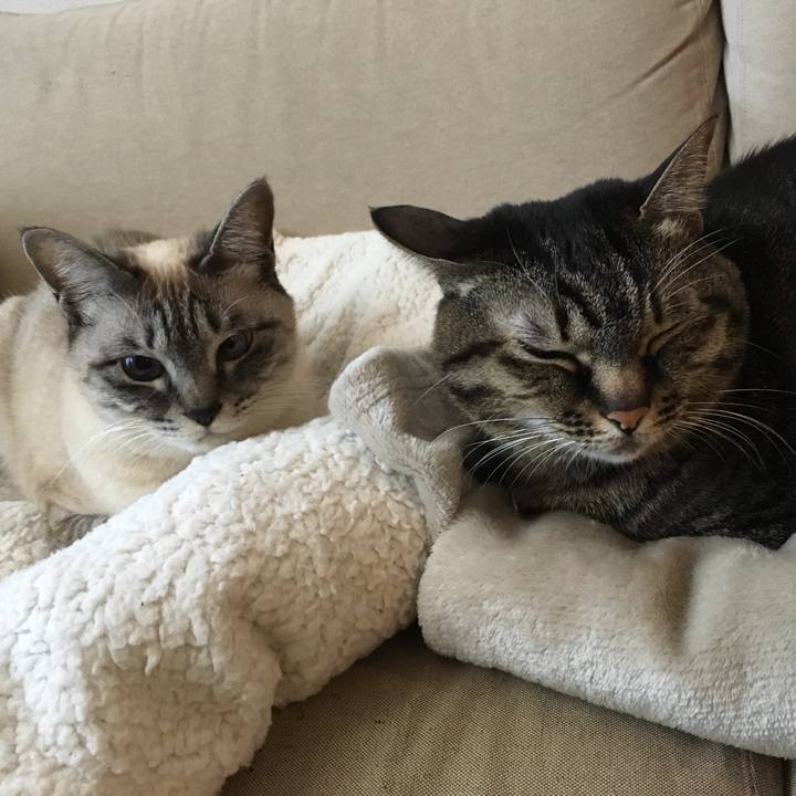 82778e49 514e 4cb3 9ba2 7a387bf26a02 1579484843733