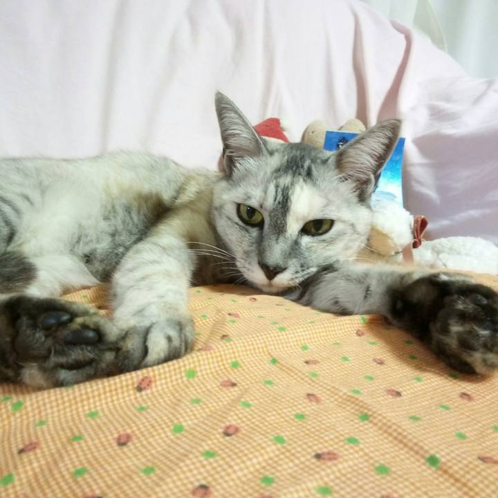 82779146 feb4 4c57 b63e 72401849ad81 1536065493189