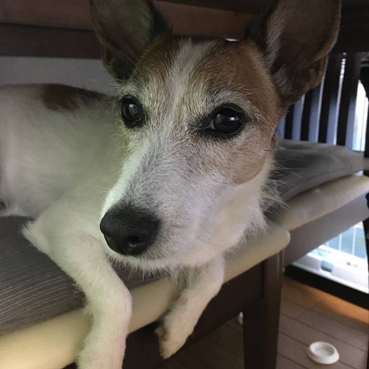 827797d1 d211 44e0 9701 171a50ccc0cd 1659743162430