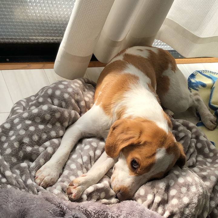 82779fe2 3bb8 46e8 8c9a f3cad26b98d6 1547709986192