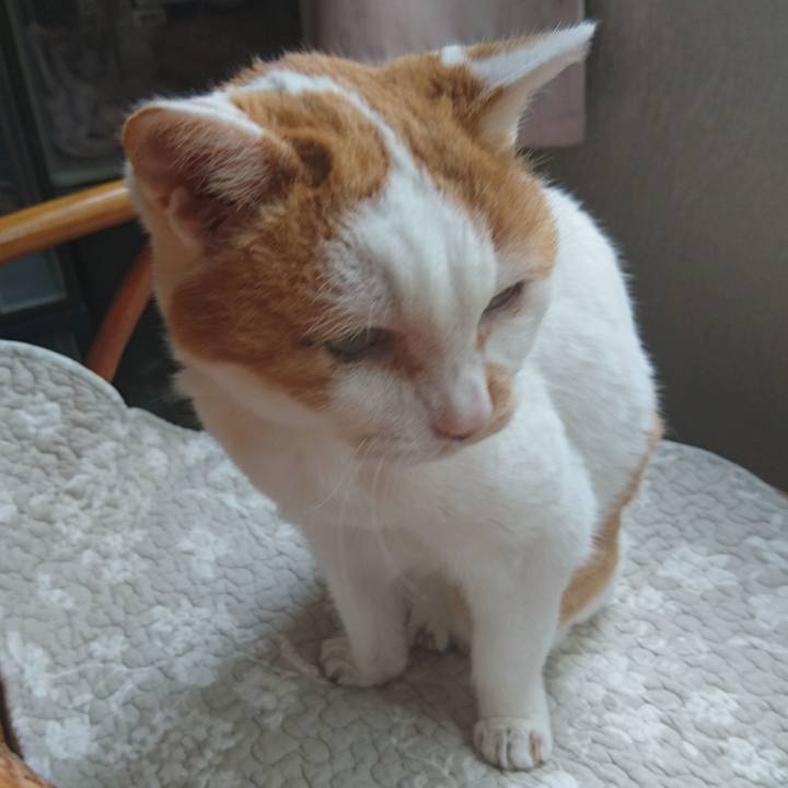 8277b659 8ae0 4309 b8a2 5e5b69a52178 1534471326896