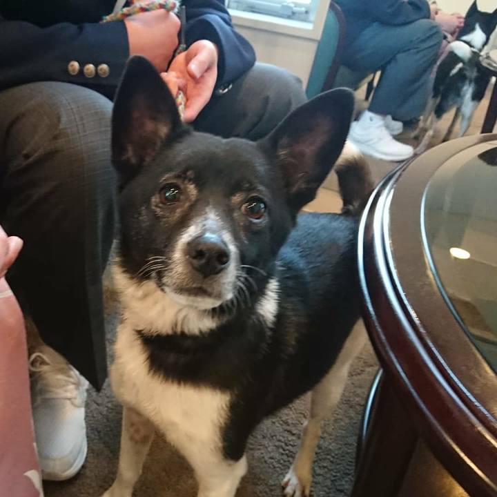 8277bf8a 4e0e 4660 9f57 1577a62b784a 1554718721997