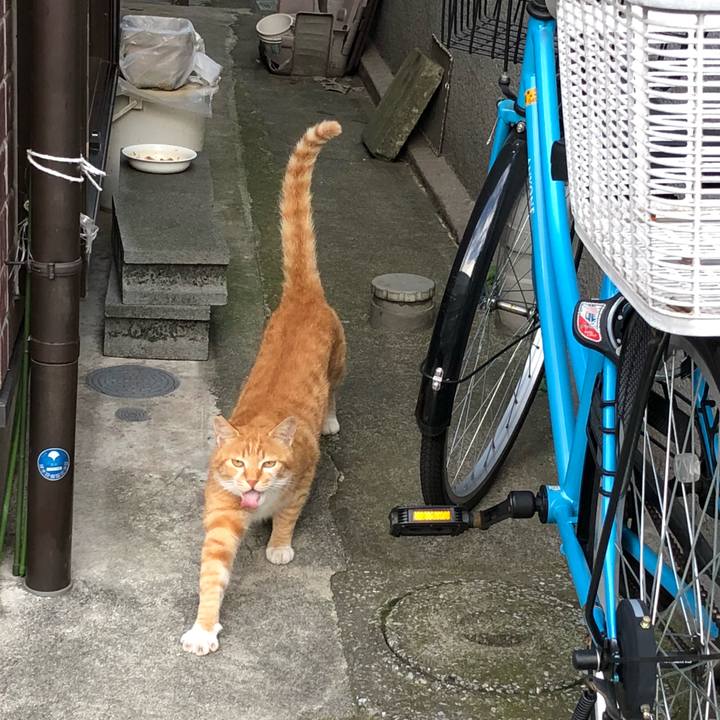 8277dedd 7e16 4816 9210 4b8f7ce0f0dc 1530242788888