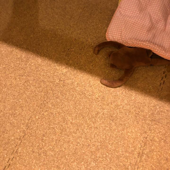 8277f260 3eaf 4fd7 a48d dfb349494035 1537611995227