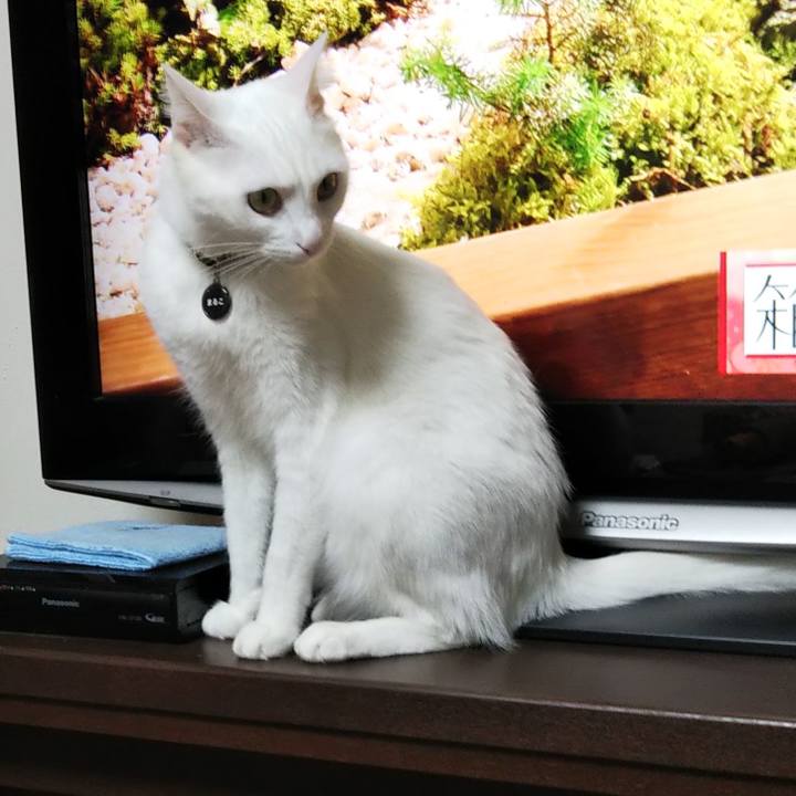 82782f22 43fa 461f a1cf 2f7218ad4c62 1638828420344