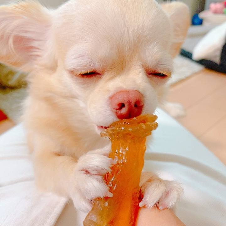 82787e51 4f7c 49aa 891d aeac49b2f672 1630840858533