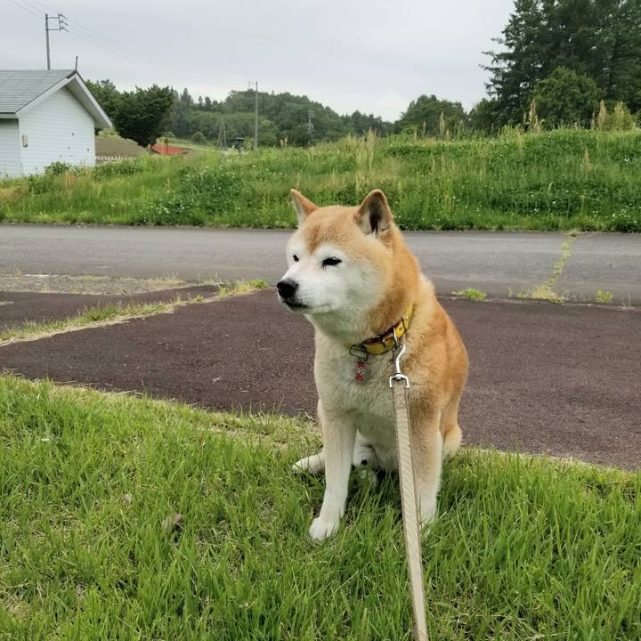 82788e93 6b51 45b8 b9ae 9c309b329b29 1684732289320