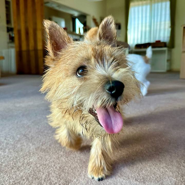 8278a043 e334 4a98 9b1d 0e4c0885f2d0 1718852048814