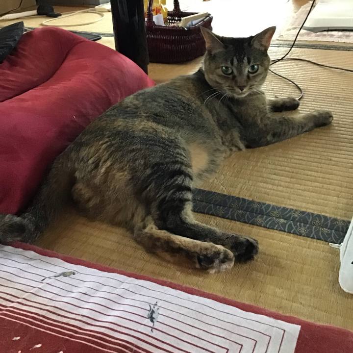 8278c09c 7225 42d1 8449 9432a4e5a0e6 1663145585145