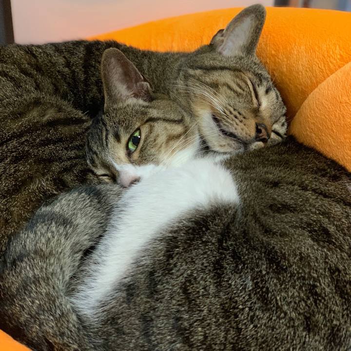 8278f3e2 e068 4367 965f 59e60a61e537 1543884765758