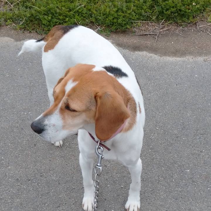 827916a4 84f8 41b2 9ee9 dbc65d2b8059 1583652583986