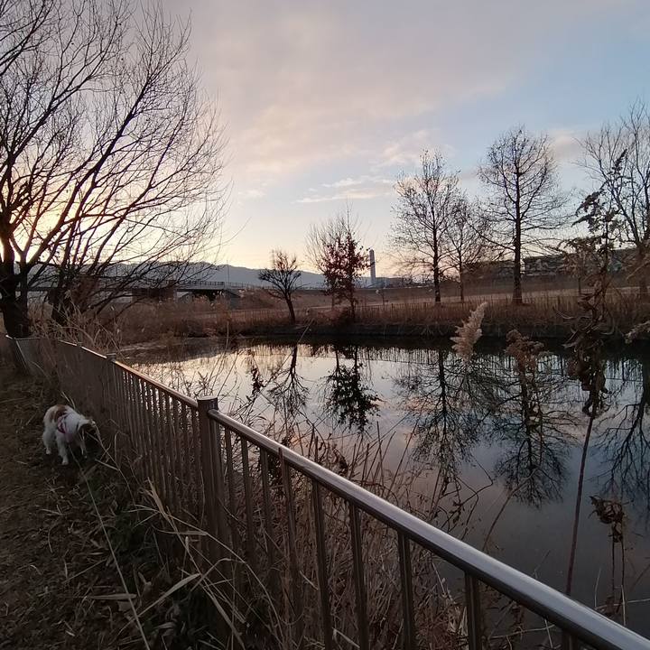 82792462 24ee 402e bf62 0db7e0149a38 1611013295683