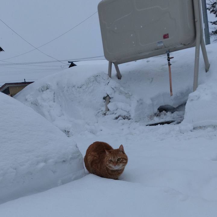 8279296c 92ab 4b48 8eaf 0604a0ec2e62 1674802332161