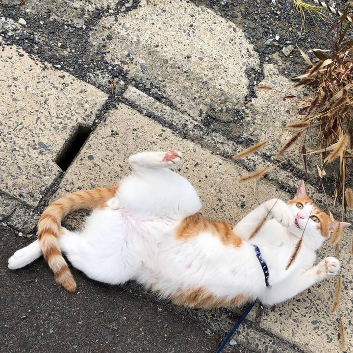 8279782a 80a1 4ecd 831f c96361c4299f 1539929161140