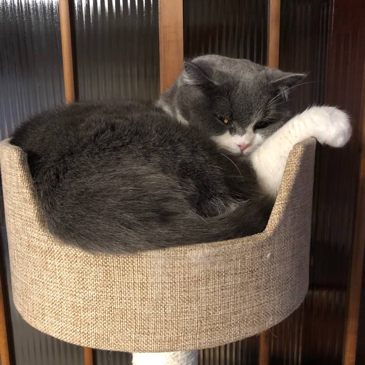 8279862b 4e68 4a99 966f f97907c662c1 1581238018021