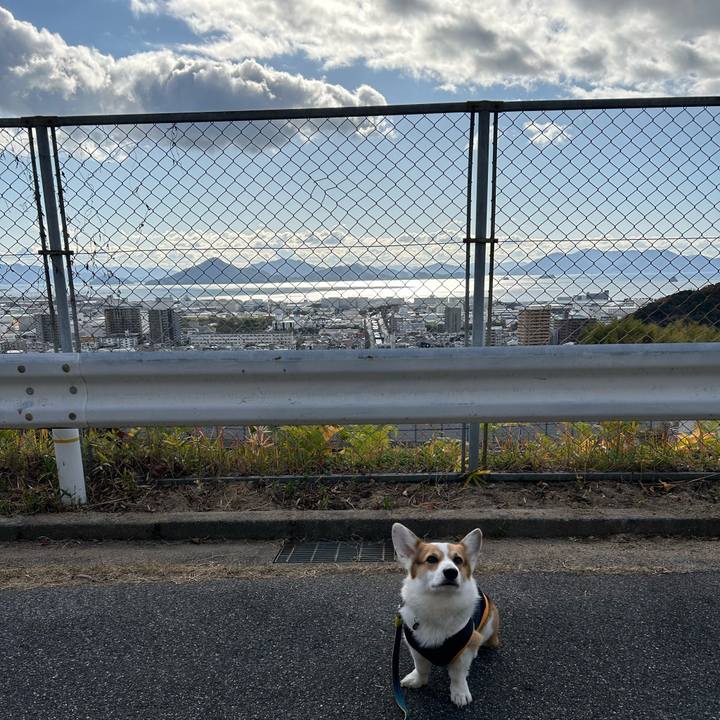 82798b08 68a9 4398 be9c 6b4d65beb846 1765507649700