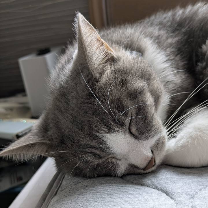 82799e35 1ea4 4d51 9baa e2c9094a8024 1757723363325