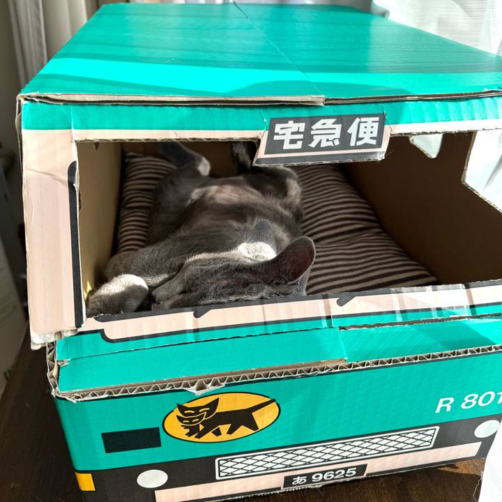 8279ae06 b51a 4c30 9b19 0975ca682f25 1770347573642