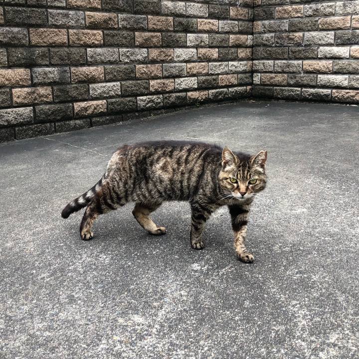 8279b465 2bd9 4b32 8fbc 5e368a3e14db 1656522012579