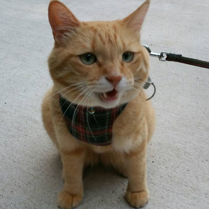 827a2dc3 2619 474a 9719 083c60de8860 1533858880506