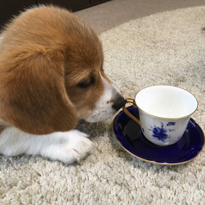 827a3b92 1f23 4879 91c5 41a8fd54d722 1590414559053