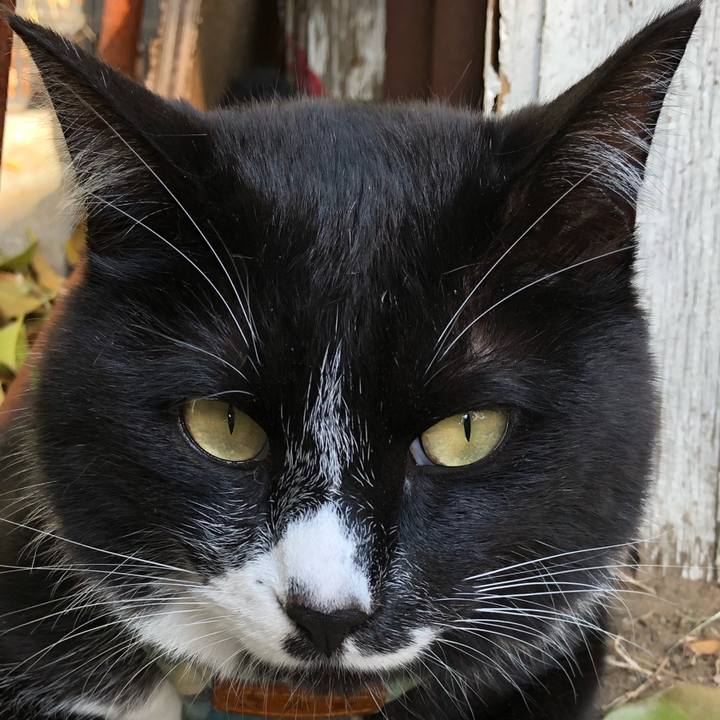 827a5e0b ecc6 47d3 b4a0 3f27556d301f 1558756254680