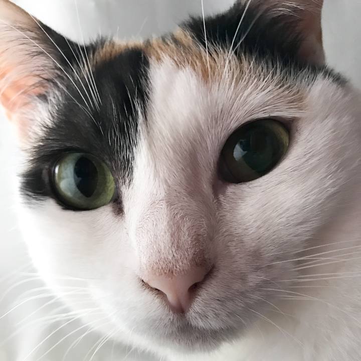 827a8a63 19ce 4d10 96bb 70fb03bef0f8 1528556083432