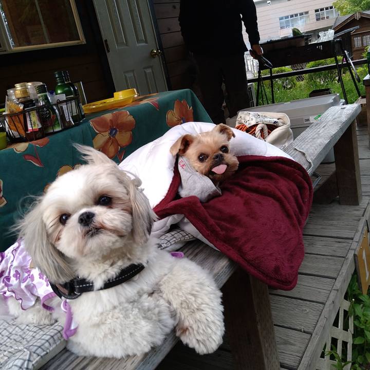 827a8f6c 063f 4207 b20d 6dff2a85d200 1619349150871