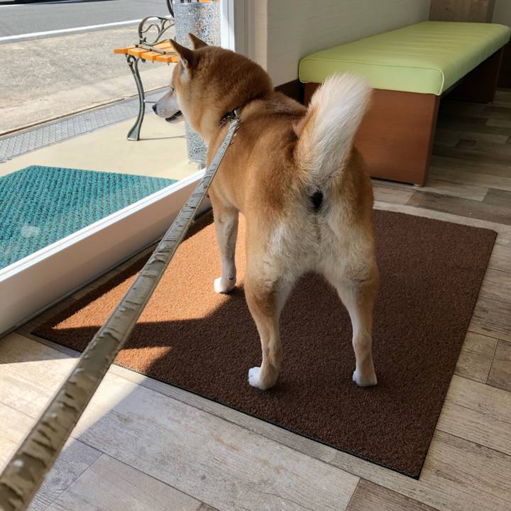 827a9d0b f874 4153 b9a5 be0cf4226e7d 1552525852935