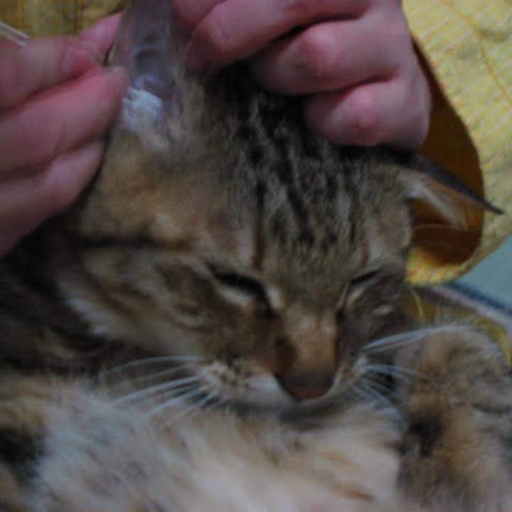 827aa0ce 2c1a 4d7b bc02 41721e534052 1764499206692