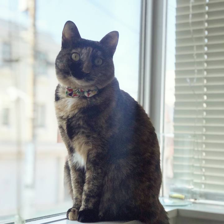 827ab2ce c416 4489 a2da 5bc83587c4dc 1512272400491