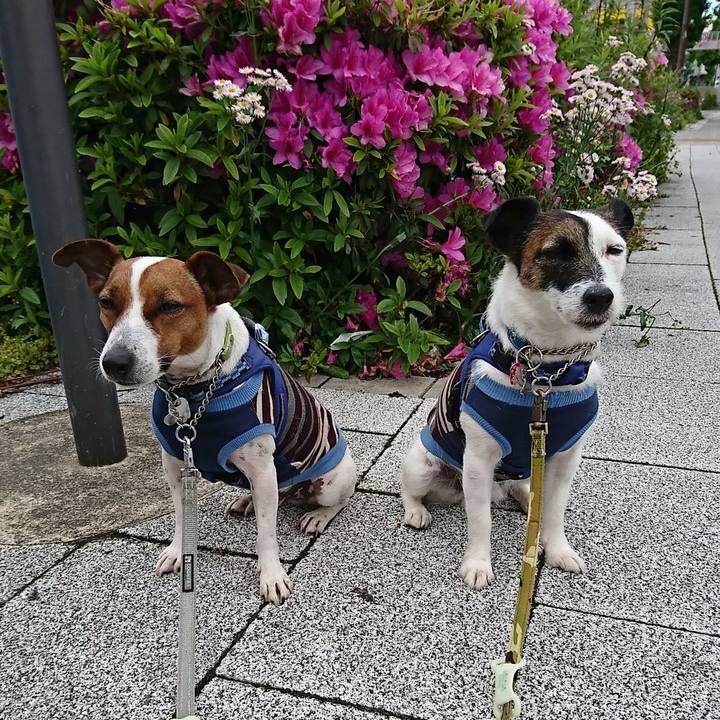 827ad4e4 859e 48d8 acc9 5f02bc187fa4 1588559162280