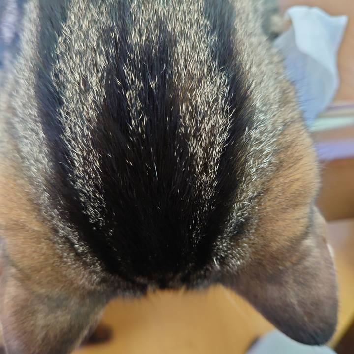 827b16ad 488c 42a2 bec8 1ecf05cae00b 1608693382912