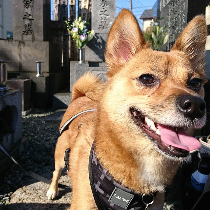 827b29f3 fd3b 4800 b08b 04370cdb56a2 1509686678740