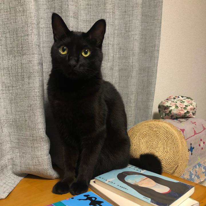 827b3e5a 82b1 4f2e 9068 a0fbafb4d8fe 1623972207435