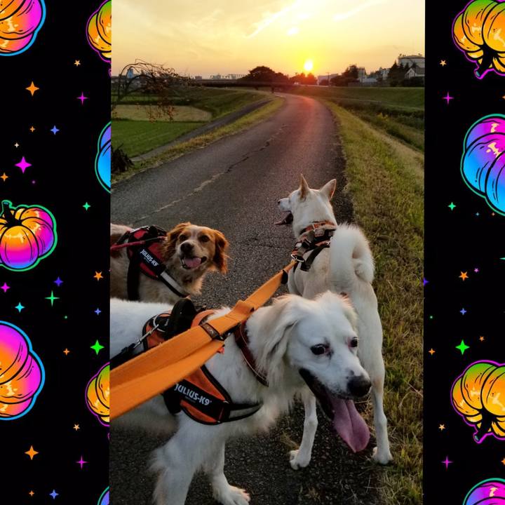 827b5fe2 5ad7 431d 8dba ff3bd660ddc5 1666518469402