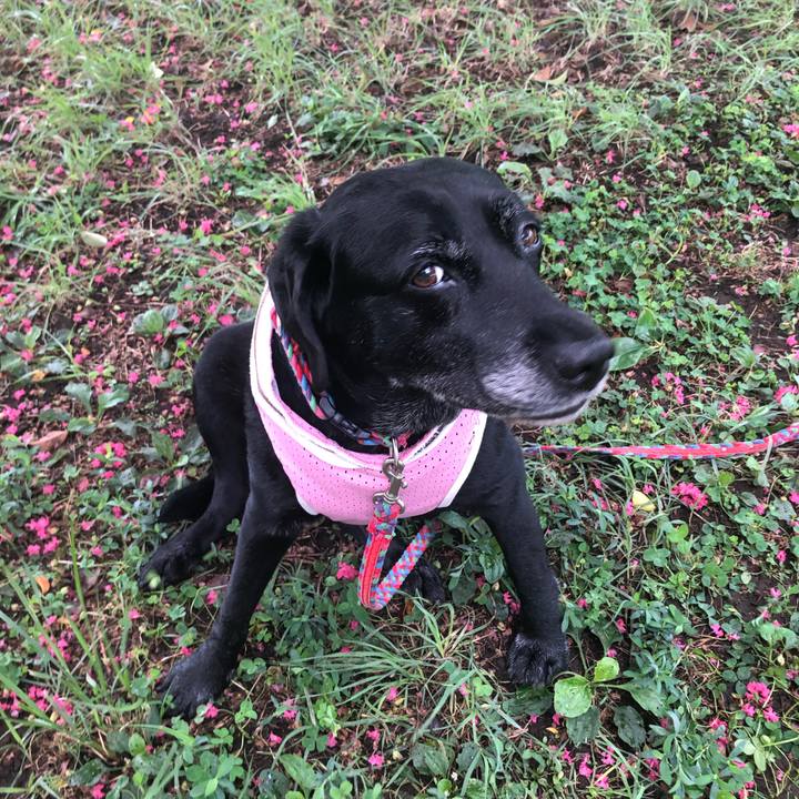 827b6203 76f9 452c b7c0 348c0bb00752 1566954179192