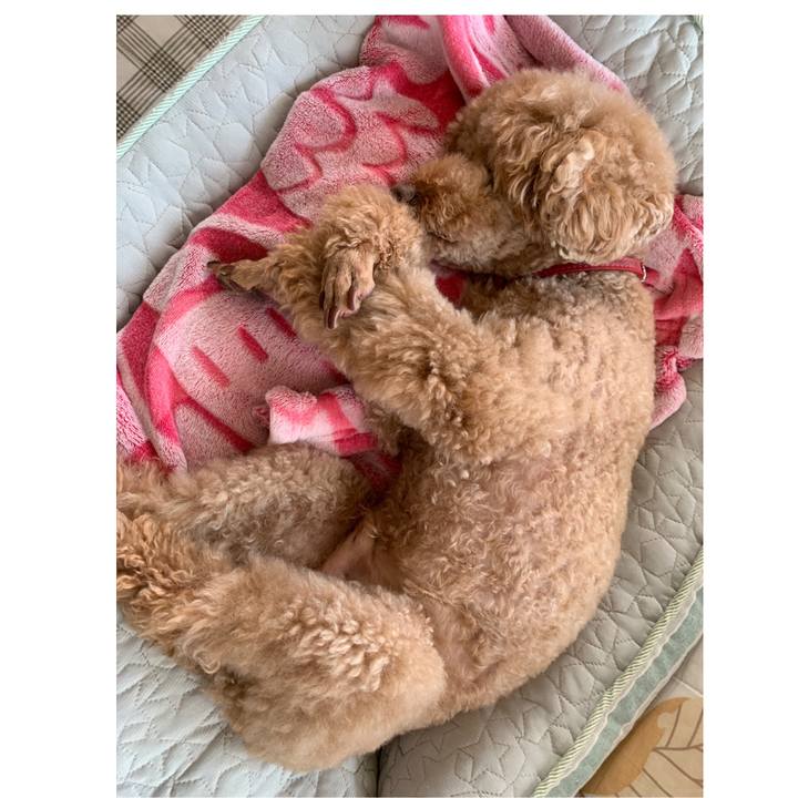 827b78c6 fde5 438a a7cc f0cf24752ff3 1556929438245